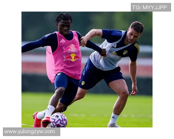 利兹联与纽卡斯尔比赛后球员表现评分分析与总结